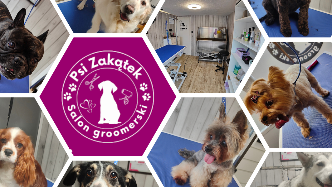 Zdjęcie na okładce dla Psi Zakątek